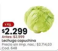 Coto Lechuga capuchina cod. 648 oferta
