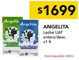 Nini Mayorista Angelita leche uat entera/desc. oferta