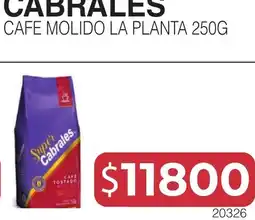 Masivos Cabrales cafe molido la planta oferta