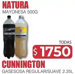 Masivos Natura mayonesa oferta