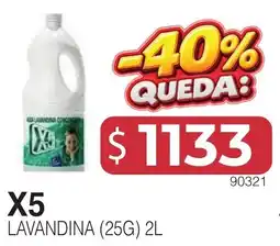 Masivos X5 lavandina oferta