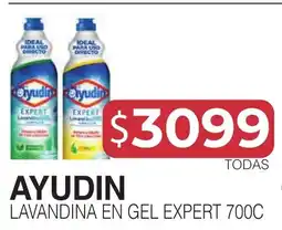 Masivos Ayudin lavandina en gel expert 700c oferta
