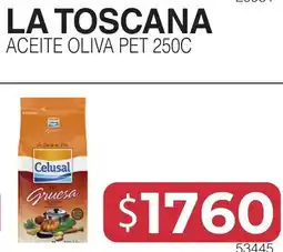 Masivos Celusal aceite oliva pet 250c oferta