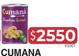 Masivos Cumaná champiñones laminados oferta