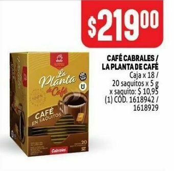 Makro Café cabrales / la planta de café oferta