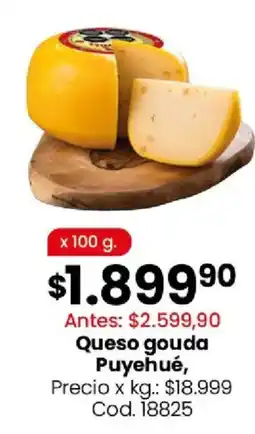 Coto Puyehué queso gouda oferta