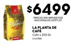 Diarco La planta de café oferta