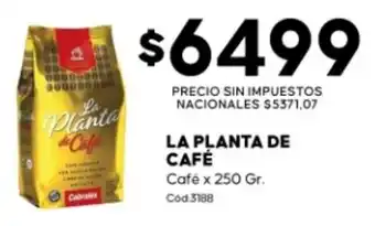 Diarco La planta de café oferta