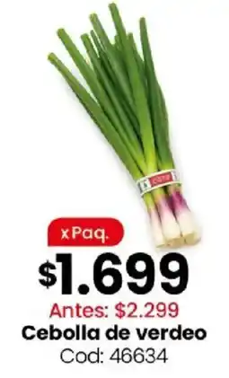 Coto Cebolla de verdeo oferta