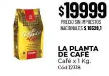 Diarco La planta de café - café x 1 kg. cód:12318 oferta