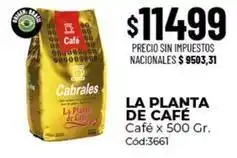 Diarco Cabrales - la planta de café café x 500 gr. cód:3661 oferta