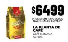 Diarco La planta de café - café x 250 gr. cód:3188 oferta