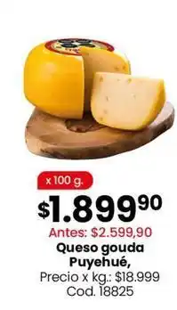 Coto Queso gouda oferta