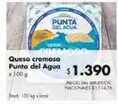 Disco Punta del agua - queso cremoso oferta