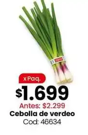 Coto Cebolla de verdeo cod: 46634 oferta
