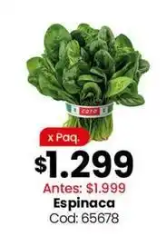 Coto Coto - espinaca cod: 65678 oferta