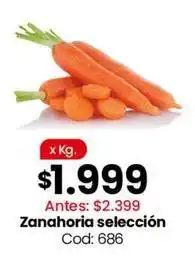 Coto Zanahoria seleccion cod: 686 oferta