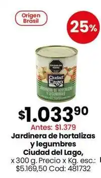 Coto Ciudad del lago - jardinera de hortalizas y legumbres oferta