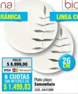 Rio Shop Deco Bic Cristalera plato playo samambaia oferta
