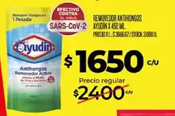 Supermercados DIA Ayudin removedor antihongos oferta