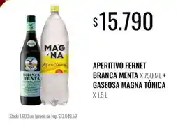 Supermercados Tadicor Aperitivo fernet branca menta + gaseosa magna tónica oferta