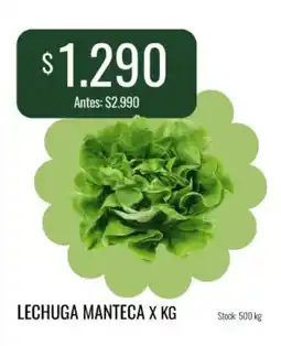 Super MAMI Lechuga manteca oferta