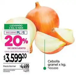 La Anonima Cebolla granel oferta