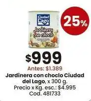 Coto Ciudad del lago - jardinera con choclo oferta