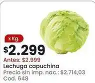 Coto Lechuga capuchina cod. 648 oferta