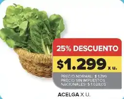 Carrefour Acelga oferta