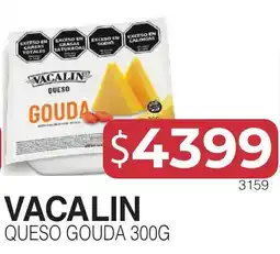 Masivos Vacalin queso gouda oferta
