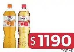 Masivos Natura fresh oferta