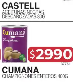 Masivos Castell aceitunas negras descarozadas oferta