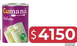 Masivos Cumaná palmitos oferta