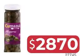 Masivos Cumaná alcaperas oferta