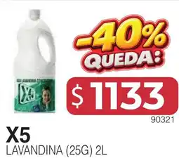 Masivos X5 lavandina oferta