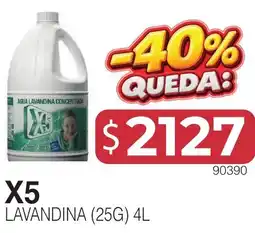 Masivos X5 lavandina oferta