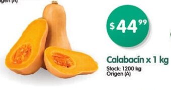 Supermercados Buenos Días Calabacín x 1kg oferta