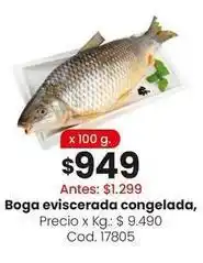 Boga eviscerada congelada
