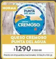 Jumbo Punta del agua - queso cremoso oferta