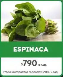 Espinaca
