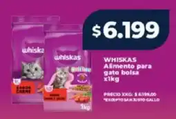 Supermayorista Vital Whiskas alimento para gato bolsa oferta