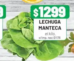 Almacor Lechuga manteca oferta