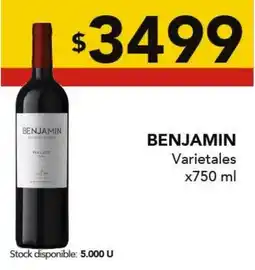 Nini Mayorista Benjamin varietales oferta
