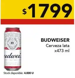 Nini Mayorista Budweiser cerveza lata oferta