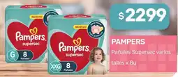 Nini Mayorista Pampers pañales supersec varios oferta