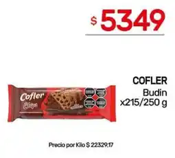 Nini Mayorista Cofler budin oferta