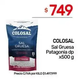 Nini Mayorista Colosal sal gruesa patagonia dp oferta