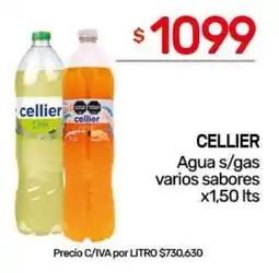 Nini Mayorista Cellier agua s/gas varios sabores oferta