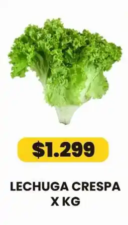 Autoservicio Capo Lechuga crespa oferta